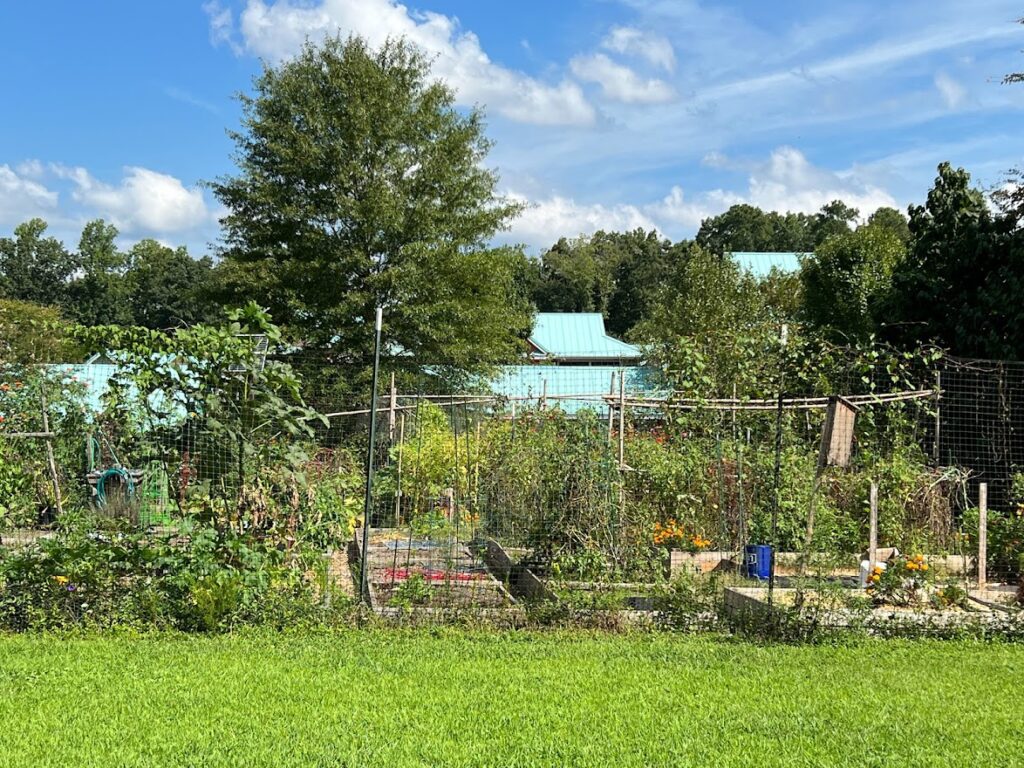 One of our gardens